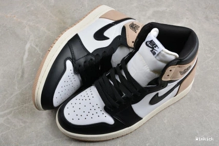 1 High “Latte” Jordan FD2596-021 OG Air 1003